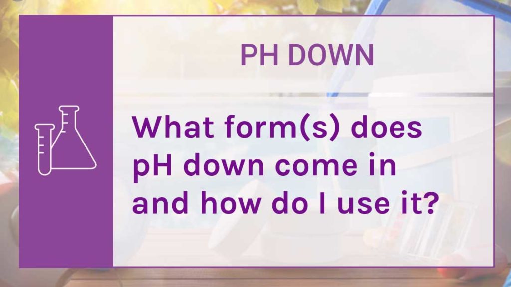 ph down pool