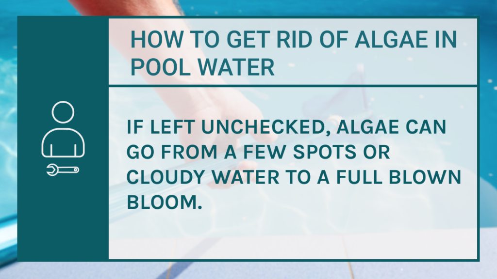 how to get rid of green algae in saltwater pool