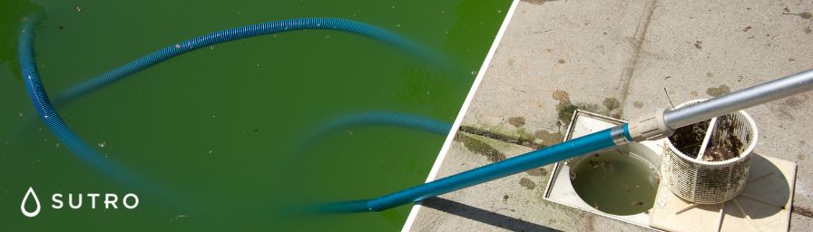 All you need to know about algaecide for your pool