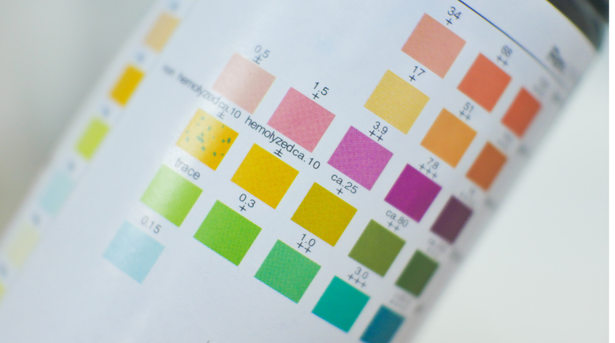 Picture of a pool test stripe color chart
