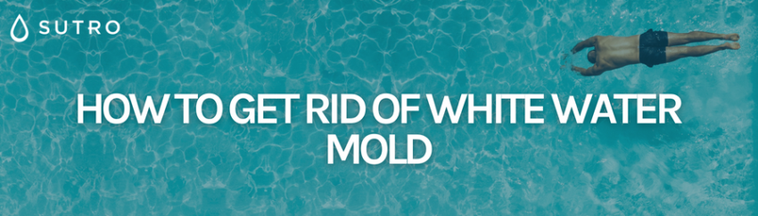 How to get rid of white water mold